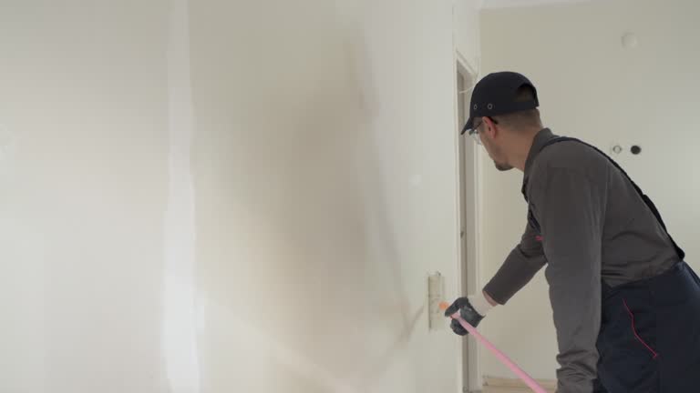 Best Wallpaper Removal and Painting  in Monticello, UT